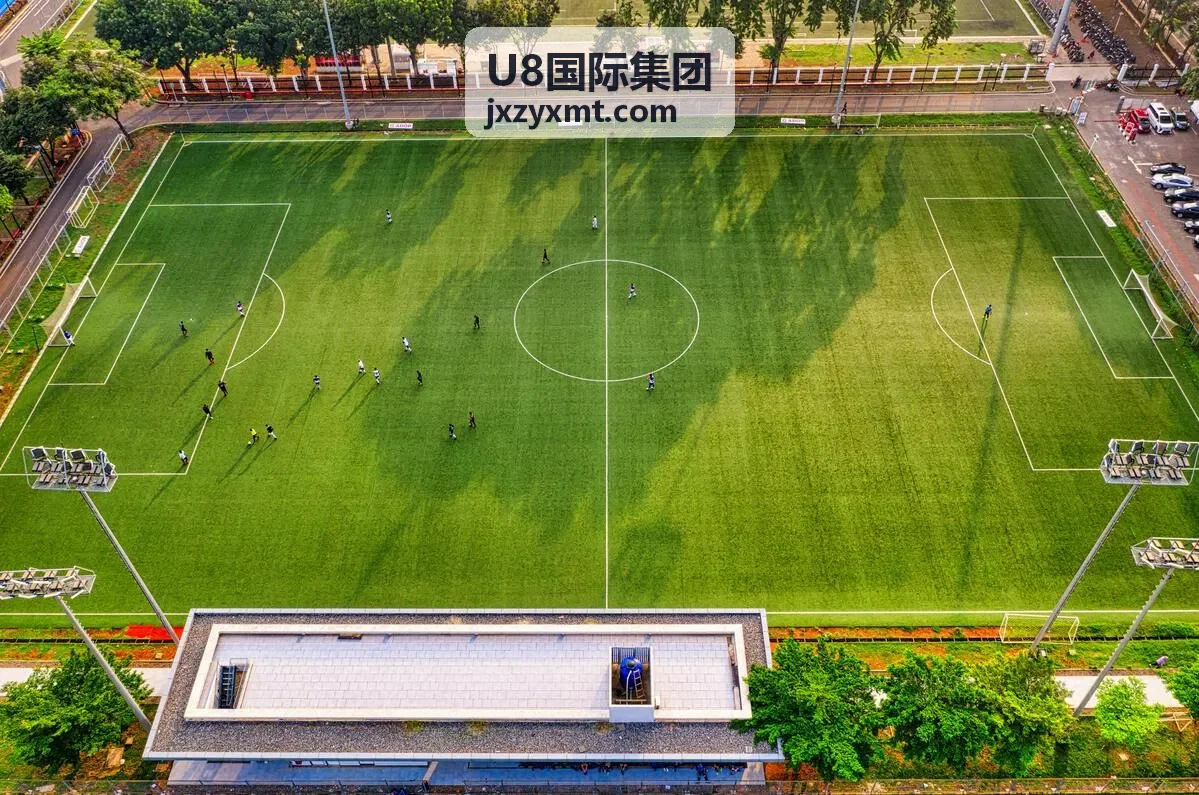 U8国际集团解决方案